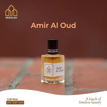 Amir Al Oud